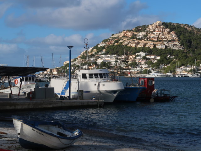 Port d'Andratx (25. Nov.)