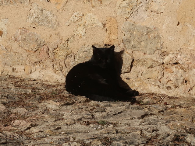Egl&eacute;sia del Calvari in Pollen&ccedil;a (27. Nov.)