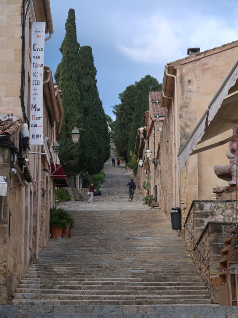Cami del Calvari in Pollen&ccedil;a (27. Nov.)