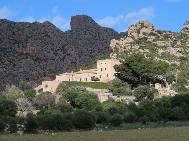 Cases de B&oacute;quer in Port de Pollen&ccedil;a (27. Nov.)