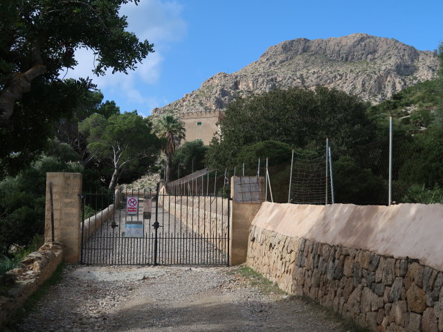 Cases de B&oacute;quer in Port de Pollen&ccedil;a (27. Nov.)