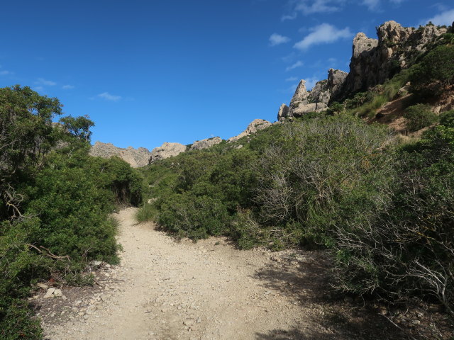 Vall de Boquer (27. Nov.)