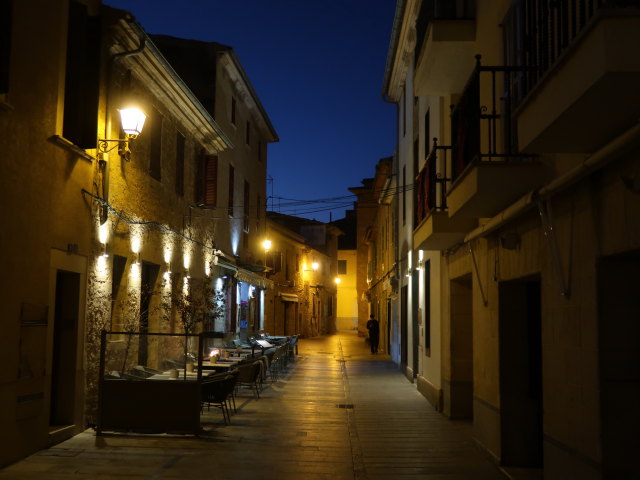 Carrer d'En Serra in Alc&uacute;dia (28. Nov.)