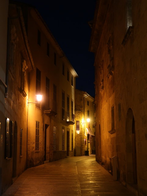 Carrer d'En Serra in Alc&uacute;dia (28. Nov.)