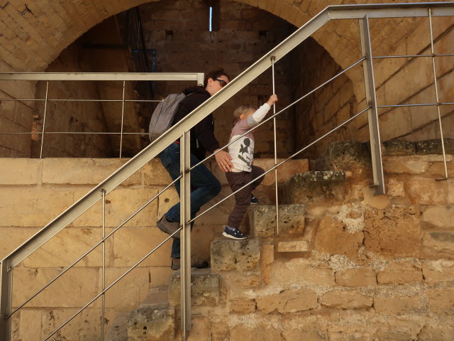 Sabine und Nils in den Murades d'Alc&uacute;dia (29. Nov.)