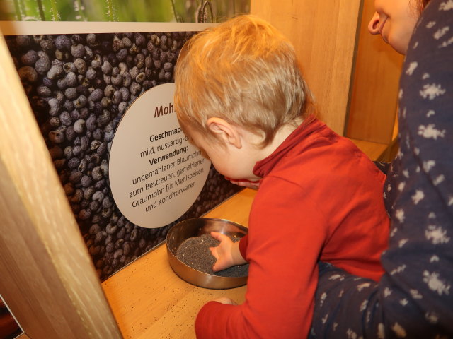 Nils in der Erlebnisf&uuml;hrung