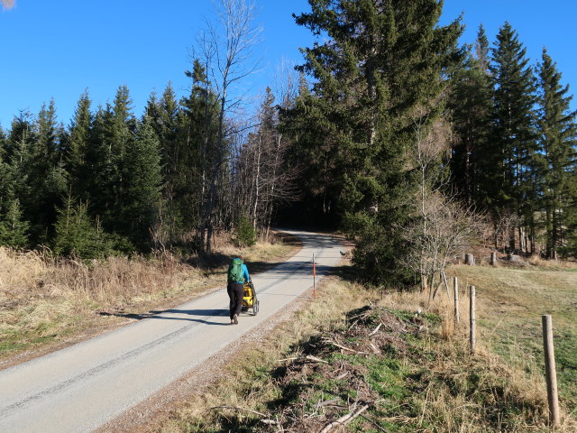 Ursa zwischen Orthof und Speckbacherh&uuml;tte