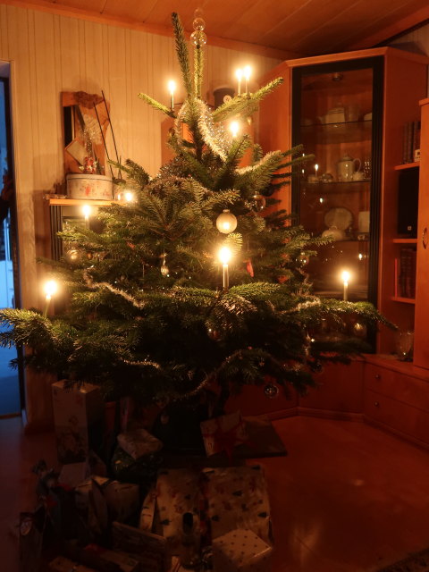 im Haus meiner Eltern (24. Dez.)