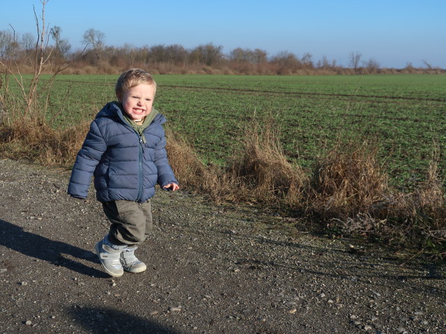 Nils zwischen S&uuml;&szlig;enbrunn und Breitenlee
