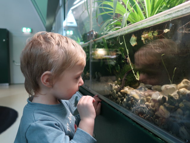 Nils im Haus f&uuml;r Natur