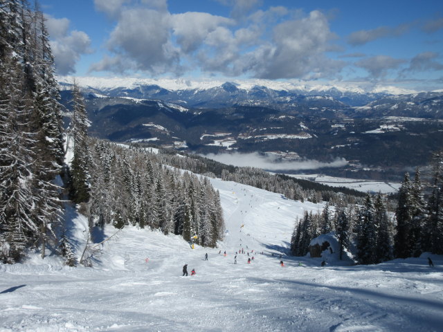 Tressdorfer-Alm-Abfahrt