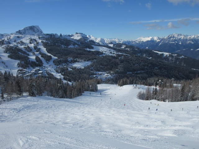 Watschiger-Alm-Abfahrt