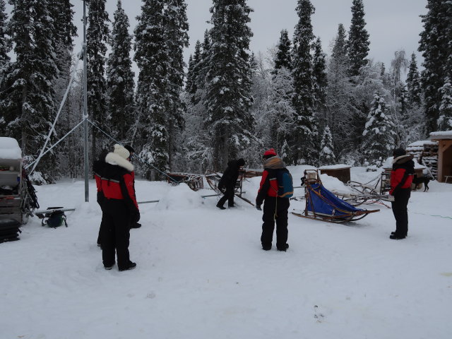 Basis von Arctic Dogsled Adventure in Laxforsen (20. Feb.)