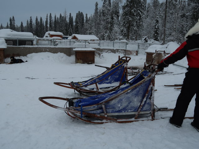 Basis von Arctic Dogsled Adventure in Laxforsen (20. Feb.)
