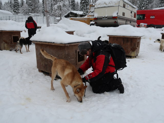 Markus in der Basis von Arctic Dogsled Adventure in Laxforsen (20. Feb.)