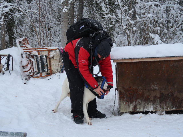 Markus in der Basis von Arctic Dogsled Adventure in Laxforsen (20. Feb.)