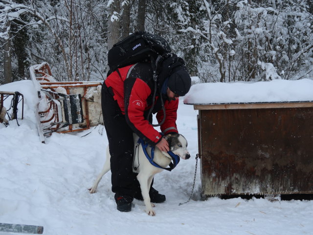 Markus in der Basis von Arctic Dogsled Adventure in Laxforsen (20. Feb.)