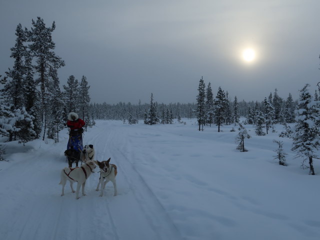 zwischen der Basis von Arctic Dogsled Adventure und Oinakkaj&auml;rvi (20. Feb.)