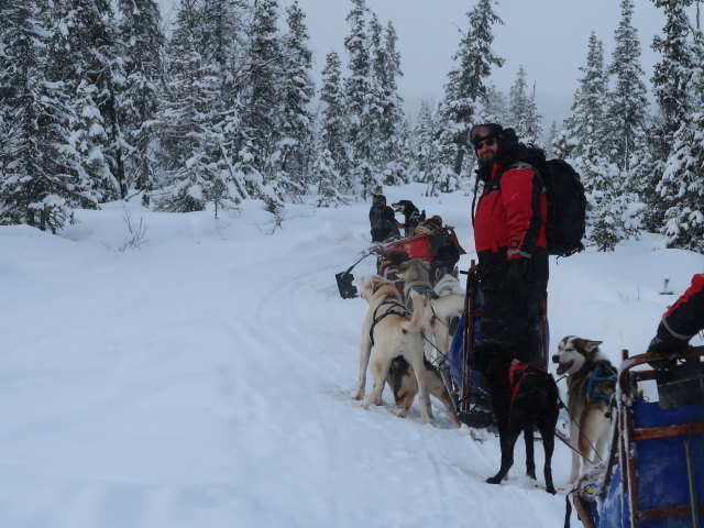 Markus zwischen der Basis von Arctic Dogsled Adventure und Oinakkaj&auml;rvi (20. Feb.)