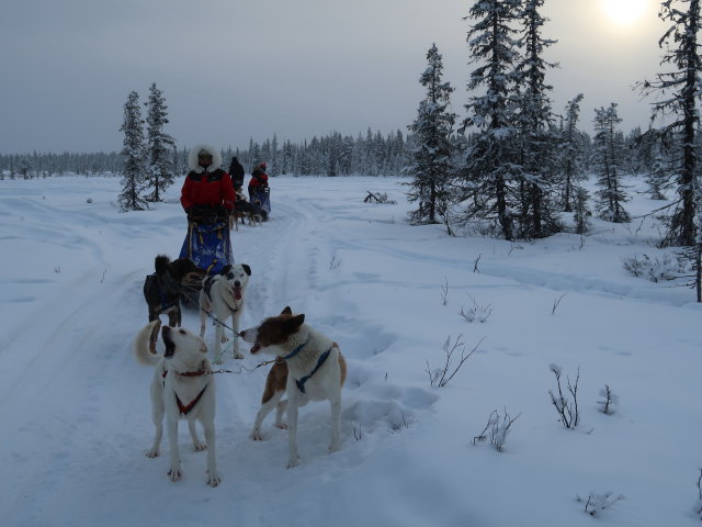 zwischen der Basis von Arctic Dogsled Adventure und Oinakkaj&auml;rvi (20. Feb.)
