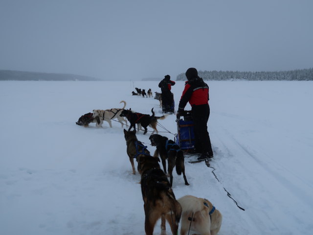 Markus am Oinakkaj&auml;rvi (20. Feb.)