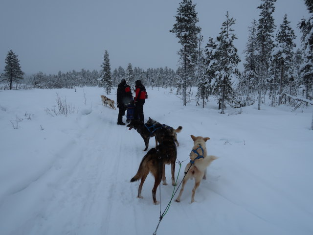 Markus zwischen Oinakkaj&auml;rvi und V&auml;kk&auml;r&auml;j&auml;rvi (20. Feb.)