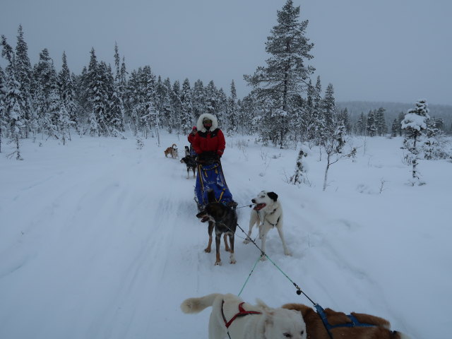 zwischen Oinakkaj&auml;rvi und V&auml;kk&auml;r&auml;j&auml;rvi (20. Feb.)
