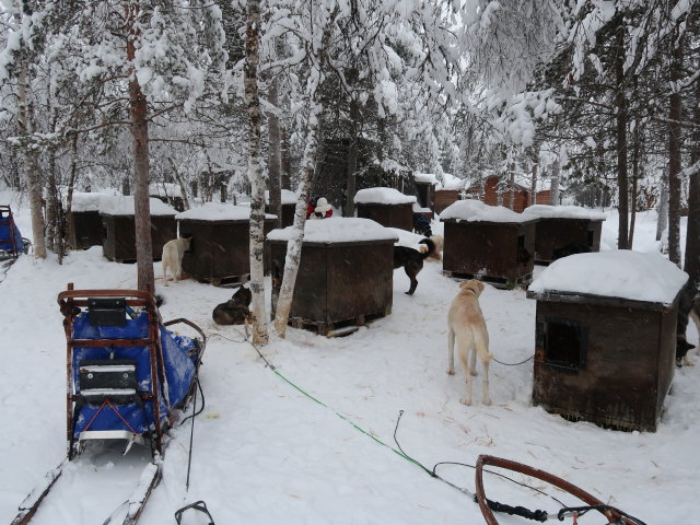 Wildniscamp von Arctic Dogsled Adventure beim V&auml;kk&auml;r&auml;j&auml;rvi (20. Feb.)