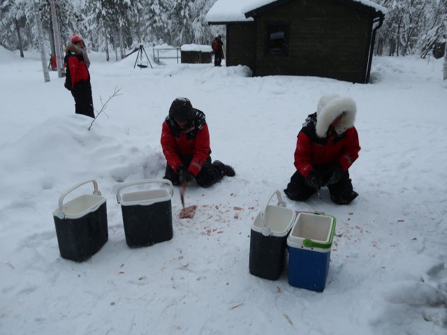 Markus im Wildniscamp von Arctic Dogsled Adventure beim V&auml;kk&auml;r&auml;j&auml;rvi (20. Feb.)