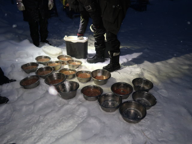 Wildniscamp von Arctic Dogsled Adventure beim V&auml;kk&auml;r&auml;j&auml;rvi (20. Feb.)