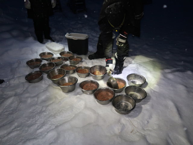 Wildniscamp von Arctic Dogsled Adventure beim V&auml;kk&auml;r&auml;j&auml;rvi (20. Feb.)