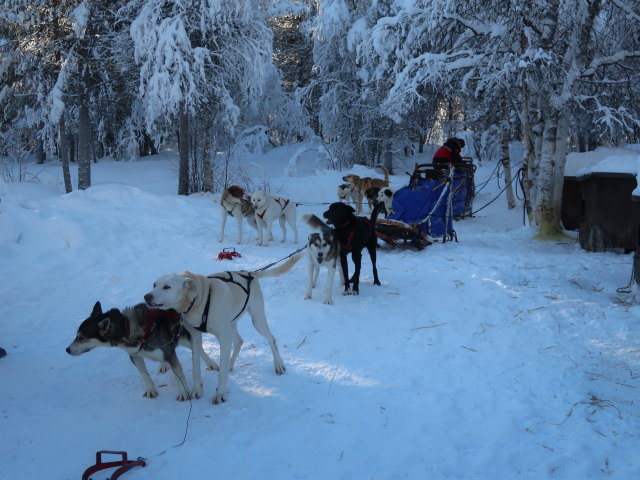 Wildniscamp von Arctic Dogsled Adventure beim V&auml;kk&auml;r&auml;j&auml;rvi (21. Feb.)