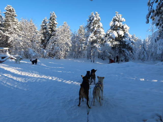 Wildniscamp von Arctic Dogsled Adventure beim V&auml;kk&auml;r&auml;j&auml;rvi (21. Feb.)