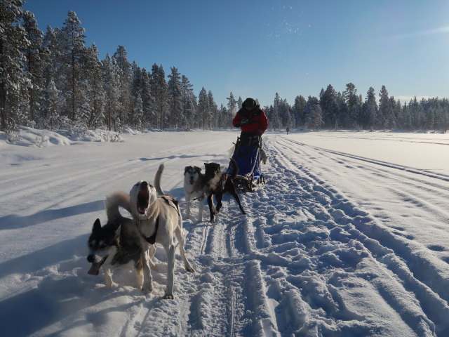 V&auml;kk&auml;r&auml;j&auml;rvi (21. Feb.)