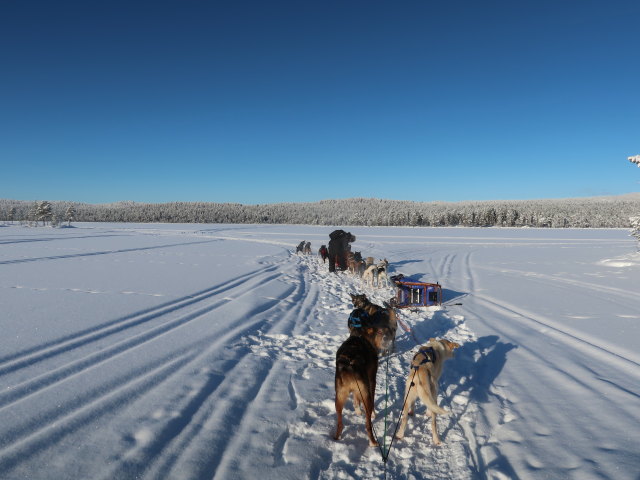 Markus am V&auml;kk&auml;r&auml;j&auml;rvi (21. Feb.)