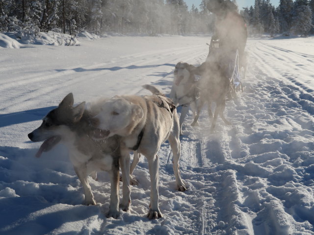 V&auml;kk&auml;r&auml;j&auml;rvi (21. Feb.)