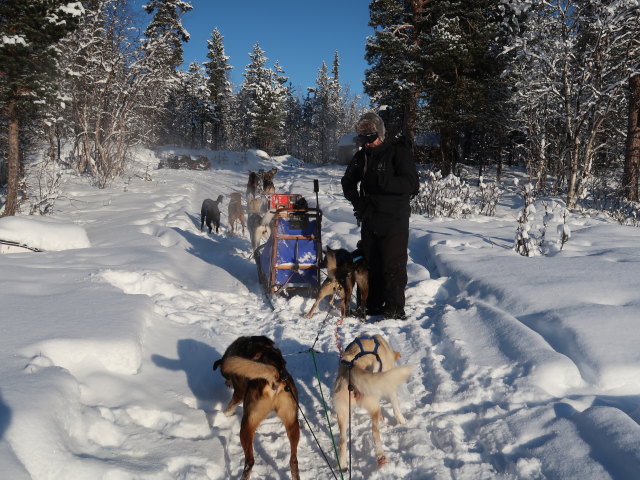 Markus zwischen V&auml;kk&auml;r&auml;j&auml;rvi und Piettarasj&auml;rvi (21. Feb.)