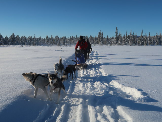 zwischen Piettarasj&auml;rvi und Sautusj&auml;rvi (21. Feb.)