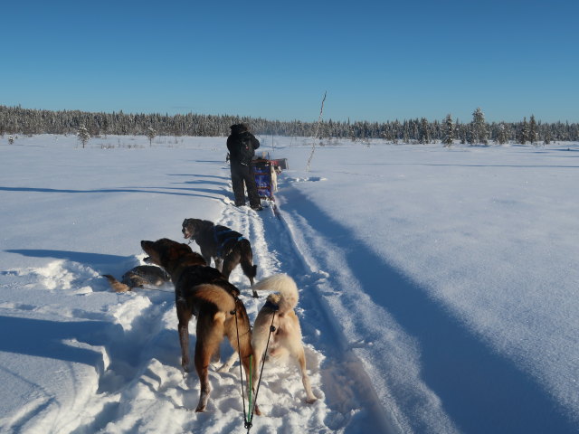 Markus zwischen Piettarasj&auml;rvi und Sautusj&auml;rvi (21. Feb.)
