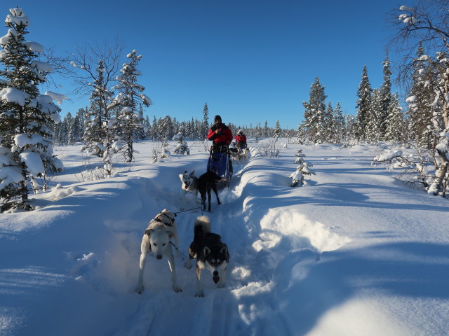 zwischen Piettarasj&auml;rvi und Sautusj&auml;rvi (21. Feb.)