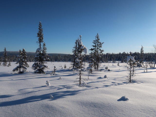 zwischen Piettarasj&auml;rvi und Sautusj&auml;rvi (21. Feb.)