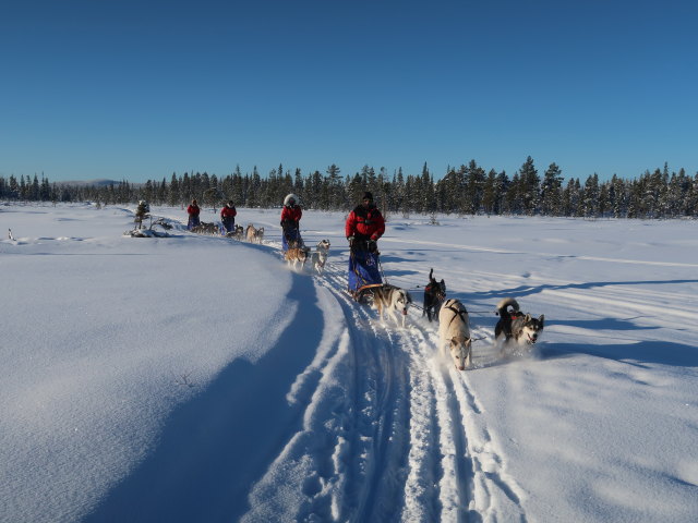zwischen Piettarasj&auml;rvi und Sautusj&auml;rvi (21. Feb.)