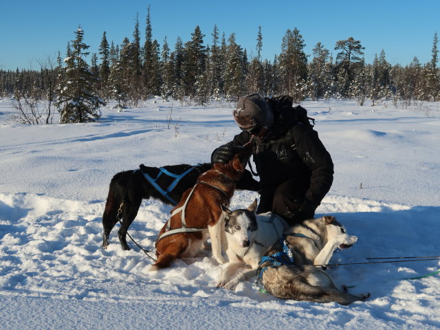 Markus zwischen Piettarasj&auml;rvi und Sautusj&auml;rvi (21. Feb.)
