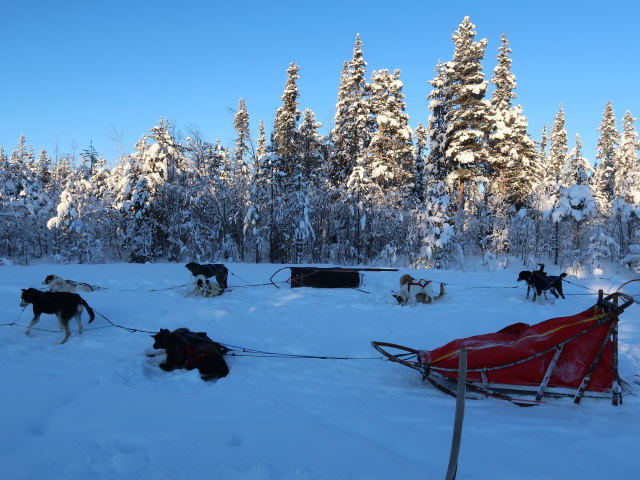 zwischen Sautusj&auml;rvi und V&auml;kk&auml;r&auml;j&auml;rvi (21. Feb.)