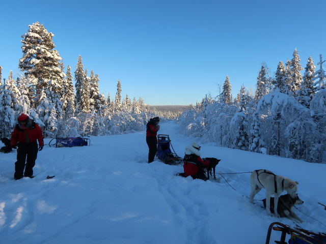 zwischen Sautusj&auml;rvi und V&auml;kk&auml;r&auml;j&auml;rvi (21. Feb.)