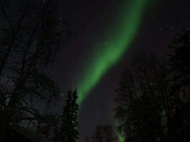Wildniscamp von Arctic Dogsled Adventure beim V&auml;kk&auml;r&auml;j&auml;rvi (21. Feb.)