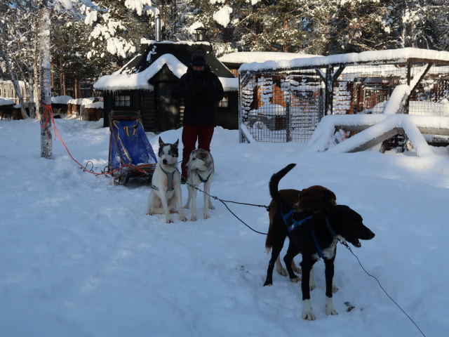 Markus im Wildniscamp von Arctic Dogsled Adventure beim V&auml;kk&auml;r&auml;j&auml;rvi (22. Feb.)
