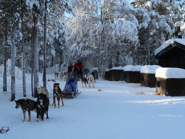 Wildniscamp von Arctic Dogsled Adventure beim V&auml;kk&auml;r&auml;j&auml;rvi (22. Feb.)