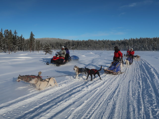 zwischen V&auml;kk&auml;r&auml;j&auml;rvi und Oinakkaj&auml;rvi (22. Feb.)