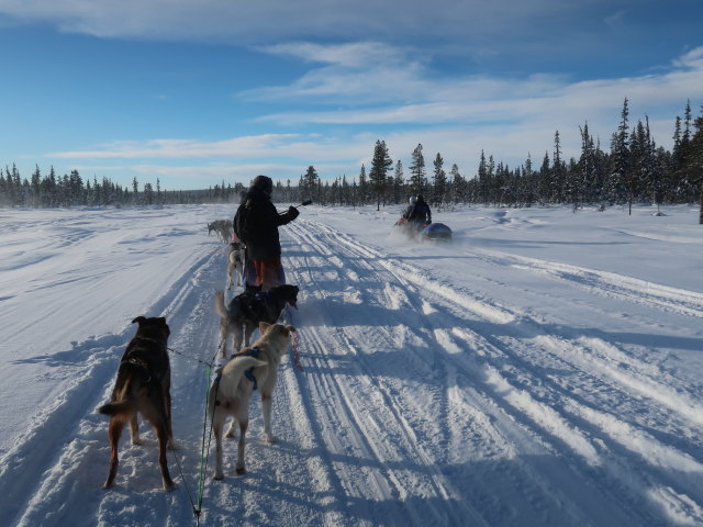 Markus zwischen V&auml;kk&auml;r&auml;j&auml;rvi und Oinakkaj&auml;rvi (22. Feb.)